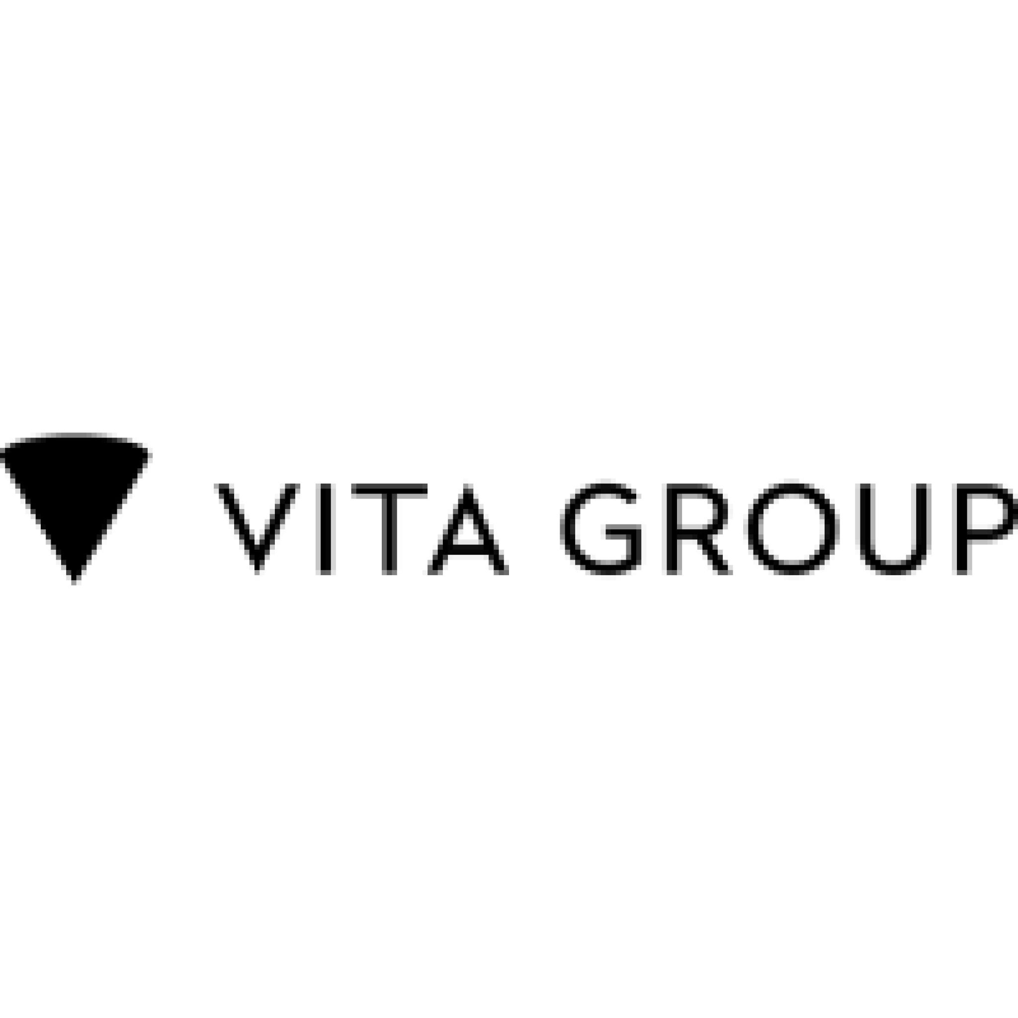 Vita Group Logo.png